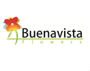Buenavista